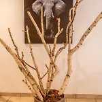 Kyriad Szálloda 3*